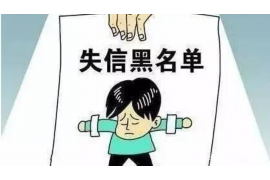 宜春债务清欠服务